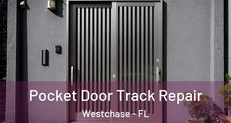  Pocket Door Track Repair Westchase - FL
