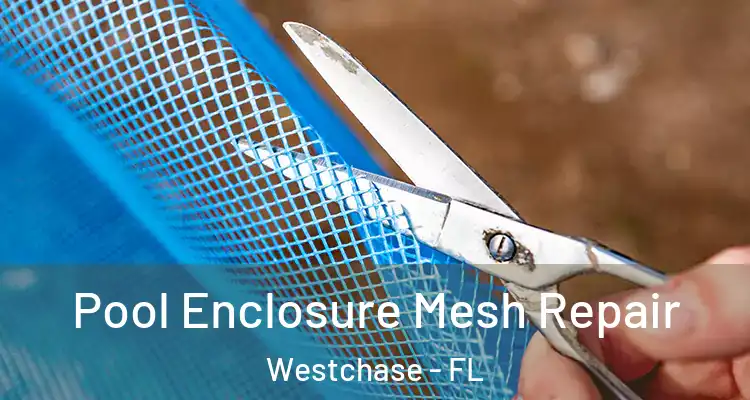  Pool Enclosure Mesh Repair Westchase - FL