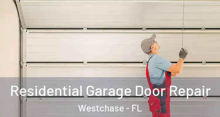  Residential Garage Door Repair Westchase - FL