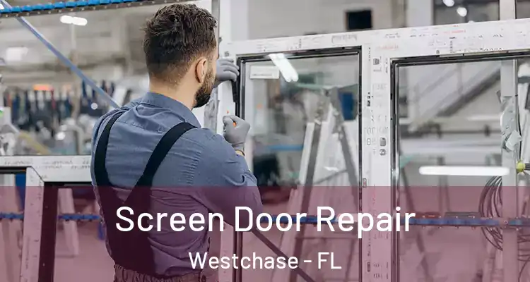  Screen Door Repair Westchase - FL
