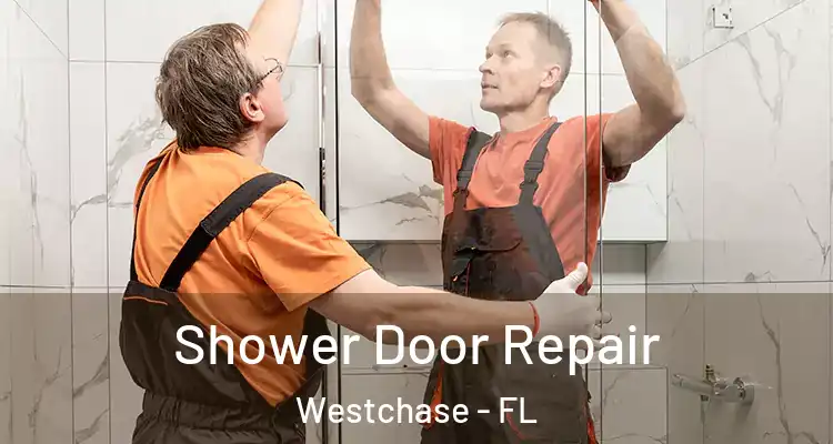  Shower Door Repair Westchase - FL