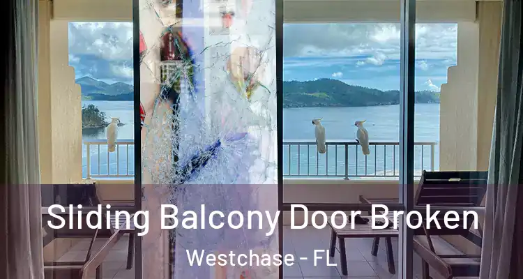  Sliding Balcony Door Broken Westchase - FL