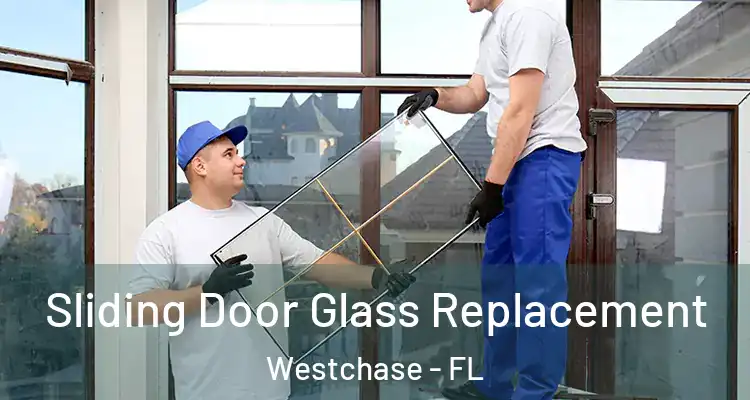  Sliding Door Glass Replacement Westchase - FL