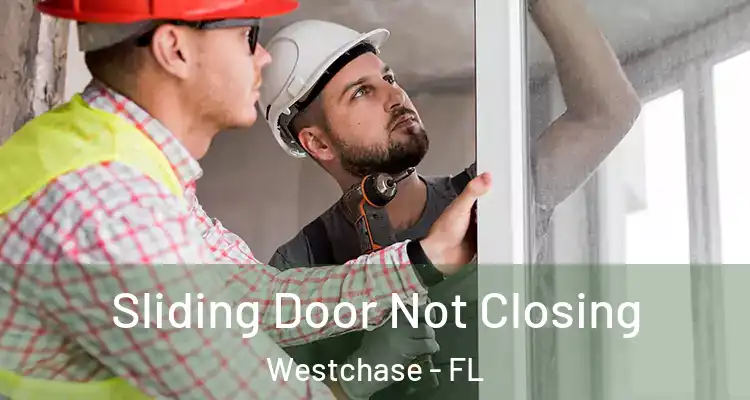  Sliding Door Not Closing Westchase - FL