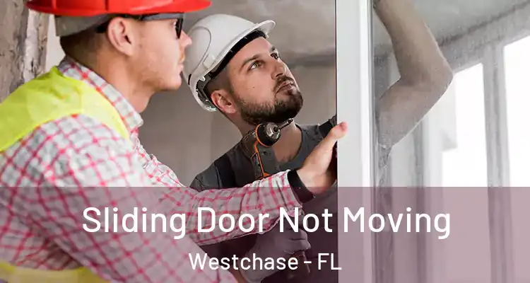 Sliding Door Not Moving Westchase - FL