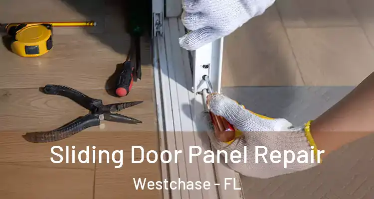  Sliding Door Panel Repair Westchase - FL