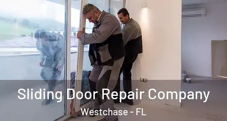  Sliding Door Repair Company Westchase - FL