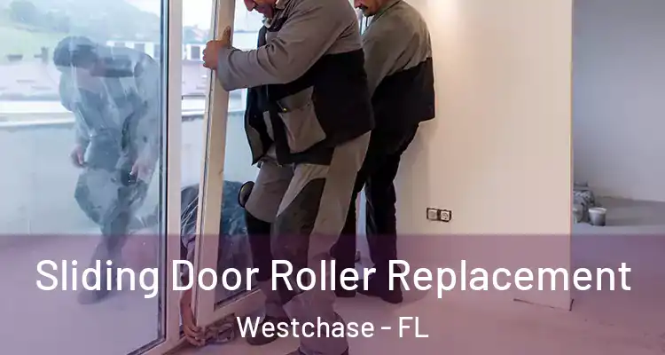  Sliding Door Roller Replacement Westchase - FL