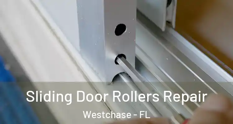  Sliding Door Rollers Repair Westchase - FL