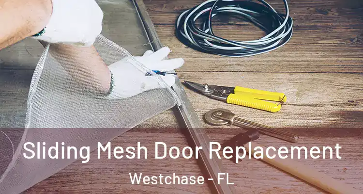  Sliding Mesh Door Replacement Westchase - FL