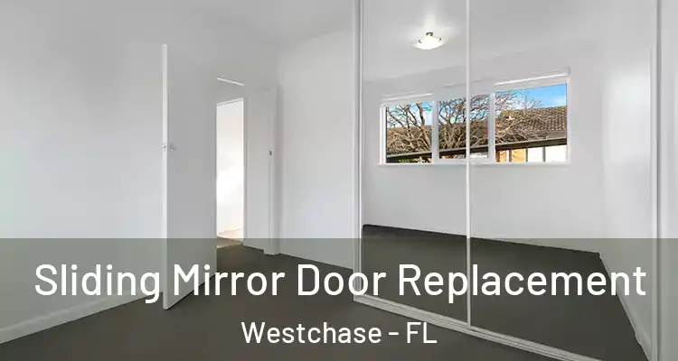  Sliding Mirror Door Replacement Westchase - FL