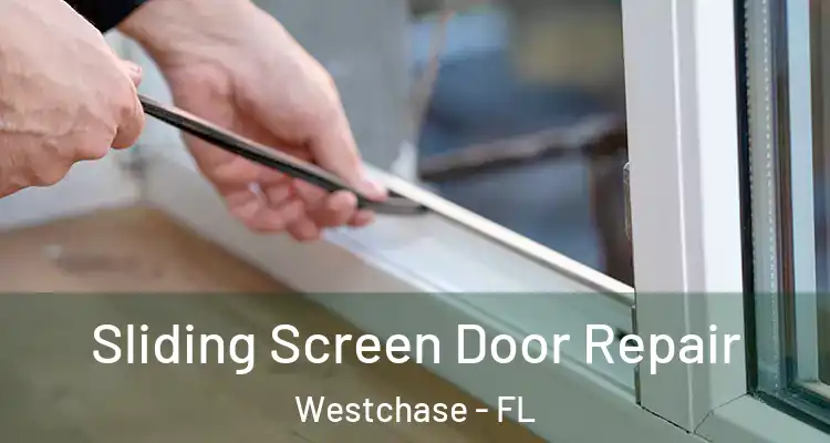  Sliding Screen Door Repair Westchase - FL