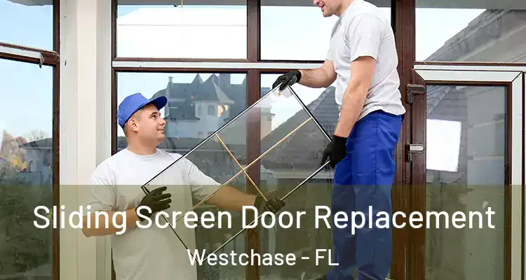  Sliding Screen Door Replacement Westchase - FL