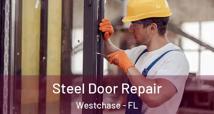  Steel Door Repair Westchase - FL