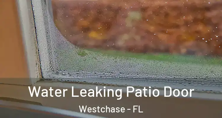  Water Leaking Patio Door Westchase - FL