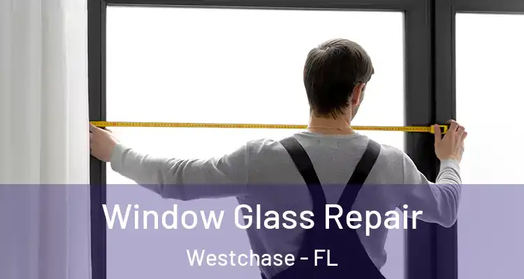  Window Glass Repair Westchase - FL