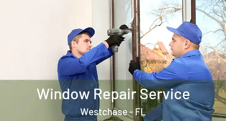  Window Repair Service Westchase - FL