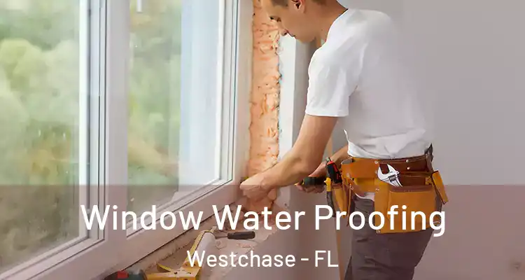  Window Water Proofing Westchase - FL